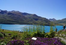 Jardin Alpin du Col du Mont Cenis景点图片