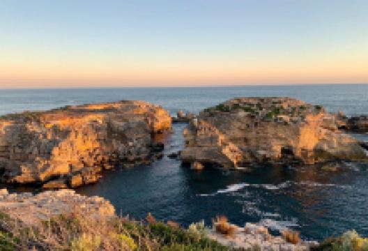 Cape Northumberland景点图片