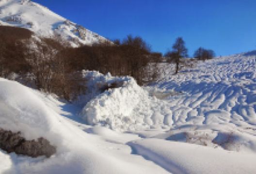 Kokopelli Camping Retreat景点图片