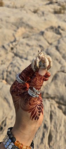 Monster roc-海塞卜