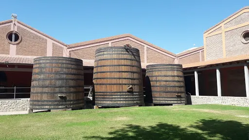 Museo del Vino Bodega Graffigna