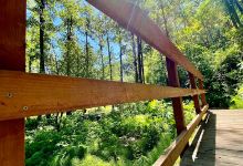 Moose Creek Campground景点图片