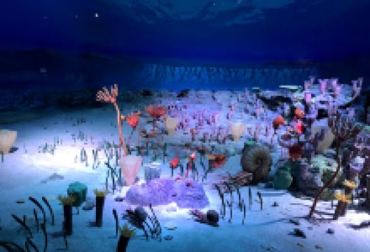 美山公园景点图片