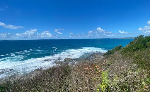 Iluka Rainforest Walking Track
