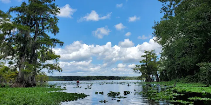 Lake Norris Conservation Area