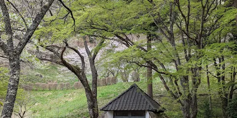 如信上人願入寺跡