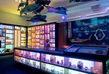 Marine Discovery Centre Hastings Point景点图片