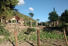Sitio Corrego do cedro景点图片
