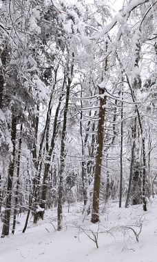 Grand-Ballon-热苏斯