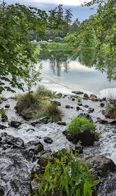Talking Water Gardens-奥尔巴尼