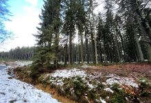 Eupen National Park景点图片
