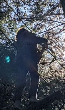 WildPlay Victoria-科尔伍德