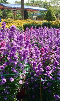 công viên Di Lăng-山河县