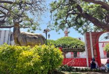 Municipio Mazatecochco de José María Morelos Tlaxcala景点图片