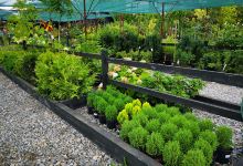 RIKO garden Centrum Ogrodnicze购物图片