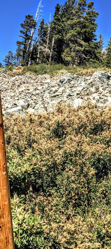 Mt. Tallac Trail-埃尔多拉多县