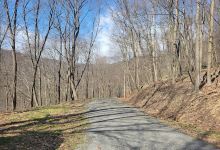 Edmon trail景点图片