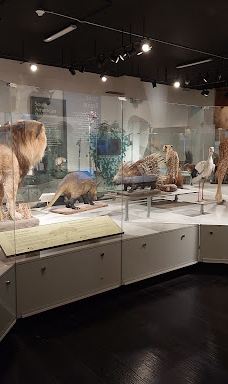 布法罗科学博物馆-布法罗