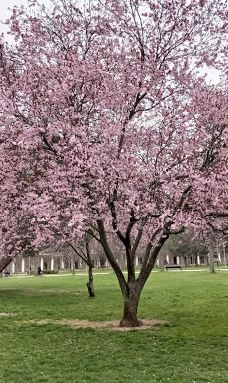 San Adrián Park-洛格罗尼奥