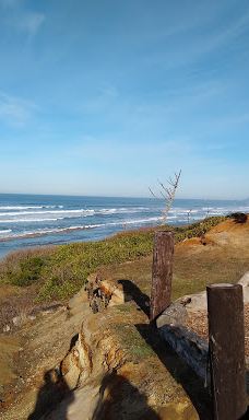 Oregon Coast Beach-纽波特
