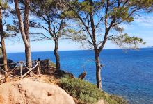 Canonge Beach Port景点图片