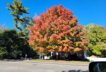 Hartwell Town Forest景点图片
