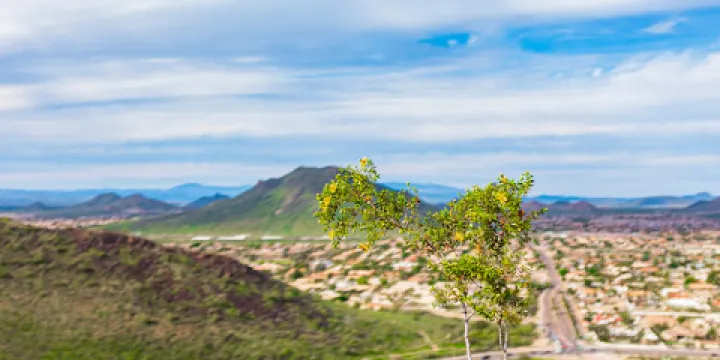 Thunderbird Conservation Park