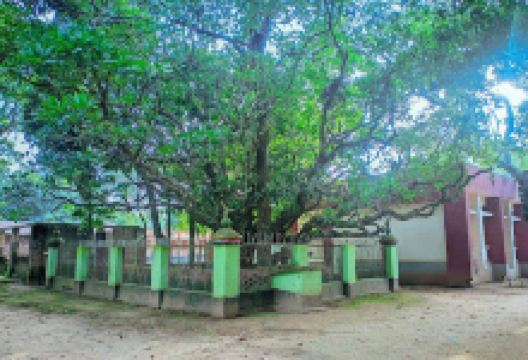 Lakshmipur Pirer Mazar景点图片