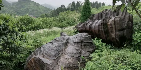 江山市海底世界雙塔石林