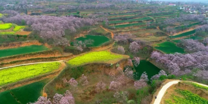 中州桃花源自然風景區