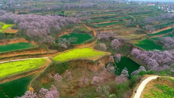 中州桃花源自然風景區