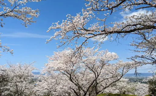 発心公園