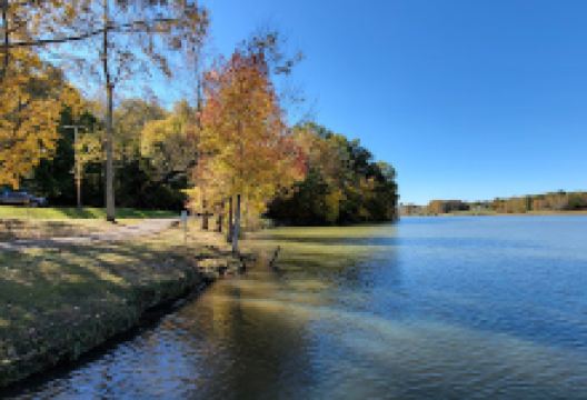 Cane Creek Park景点图片