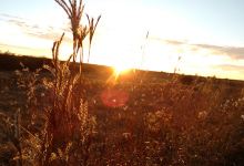 Becker State Wildlife Management Area景点图片