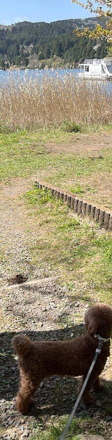 恩赐箱根公园-箱根