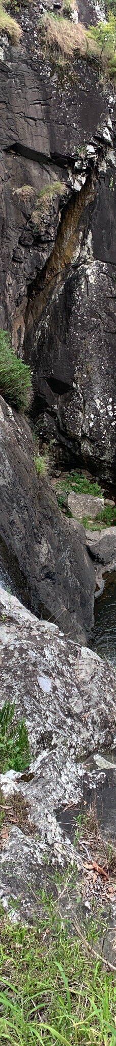 天宝林山国家公园-塔姆博尼