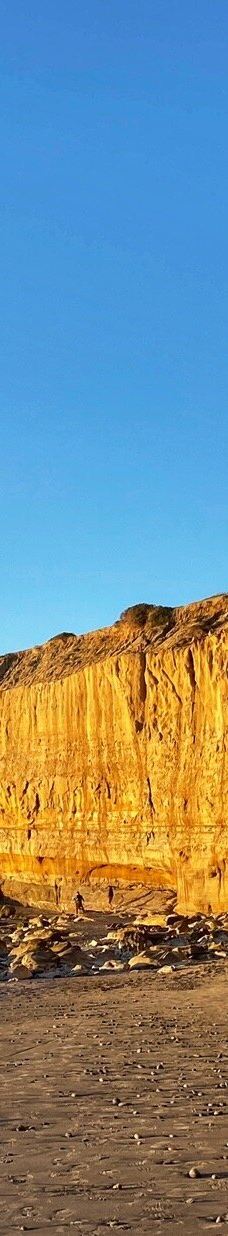 多利松国家自然保护区-佐拉