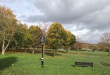 Swanley Park景点图片