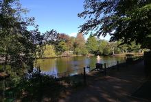 Petermoor Zoo景点图片
