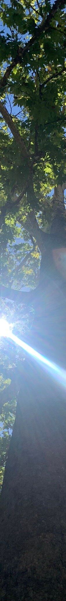 Belemedik Nature Park-Belemedik Mahallesi