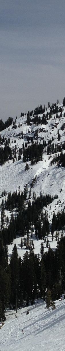 Sugar Bowl Resort-普莱瑟县