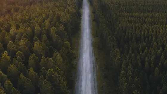 Glass House Mountains National Park