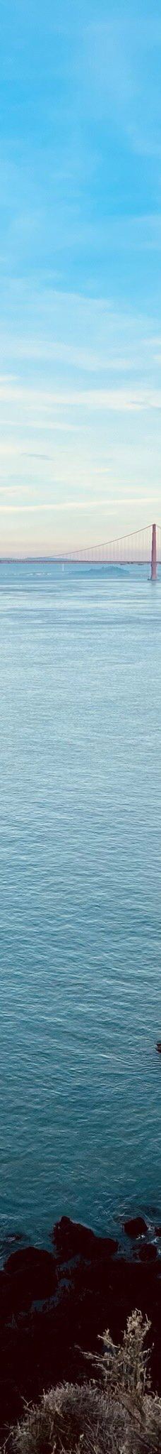 博尼角塔-马林县