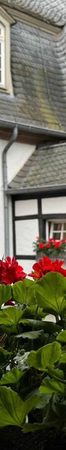 马克思故居-特里尔