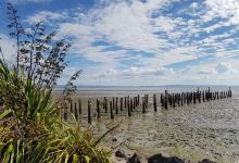 Burke Street Wharf景点图片