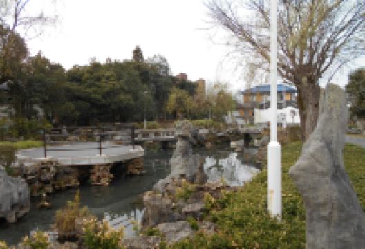 阳明园景点图片