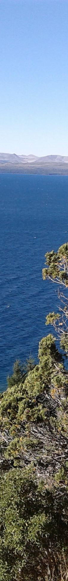 Parque Ecoturistico Cerro Viejo-圣卡洛斯-德巴里洛切