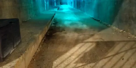 Forteresse de Mimoyecques