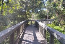 Tall Cypress Natural Area景点图片