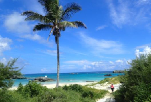 Cooper's Island Nature Reserve景点图片